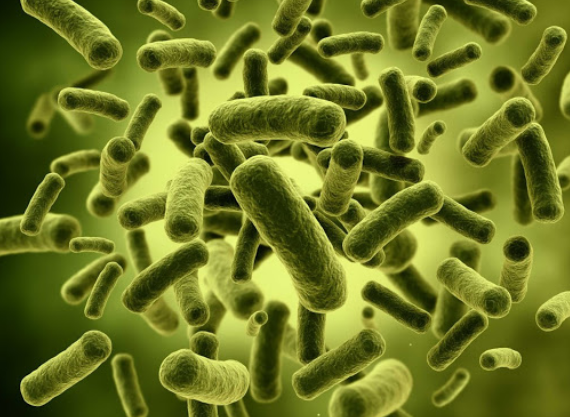 Upaya Mengatasi Dampak Negatif Bakteri