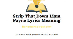 Strip That Down Liam Payne Lyrics Meaning