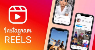 Cara Download Video Instagram Reels Downloader